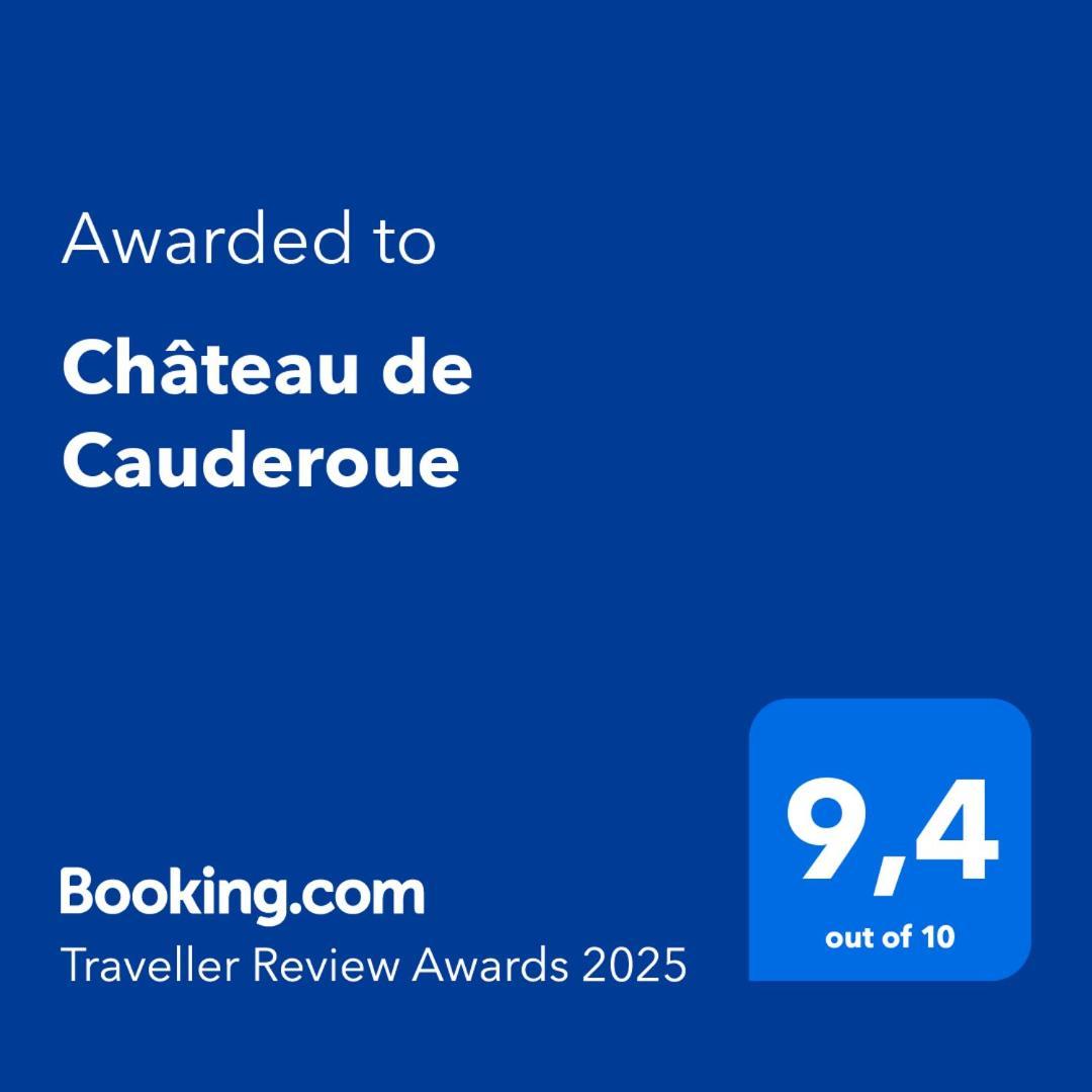 Chateau De Cauderoue 内拉克 外观 照片